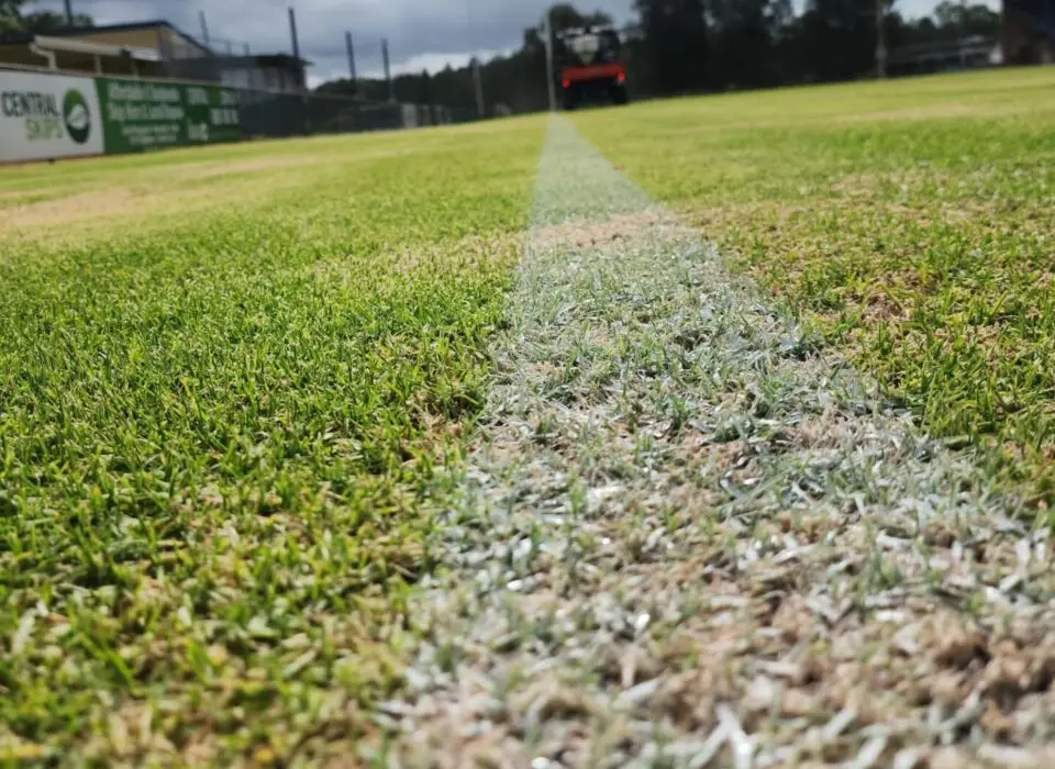 Freshly painted white line on a natural grass sports field