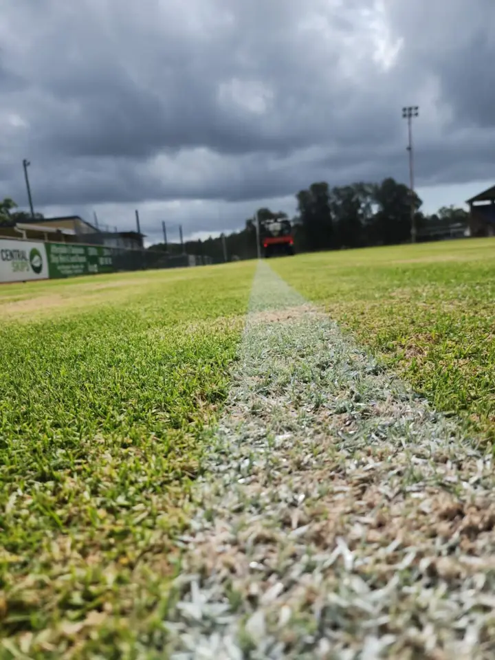 Close-up of a freshly marked line on a sports field